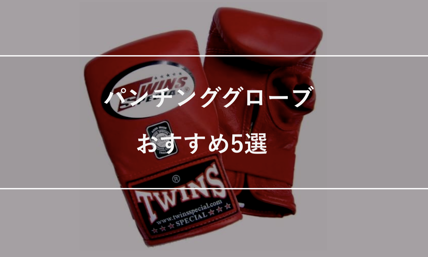 【2021年製 Zeeno Sign 工房 ボクシンググローブ ボクシング グローブ パンチンググローブ ボクササイズ 格闘技